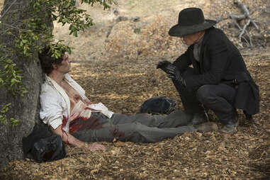 ed harris, man in black, teddy, westworld