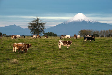 Osorno volcano