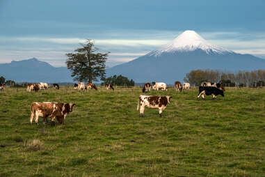 Osorno volcano 