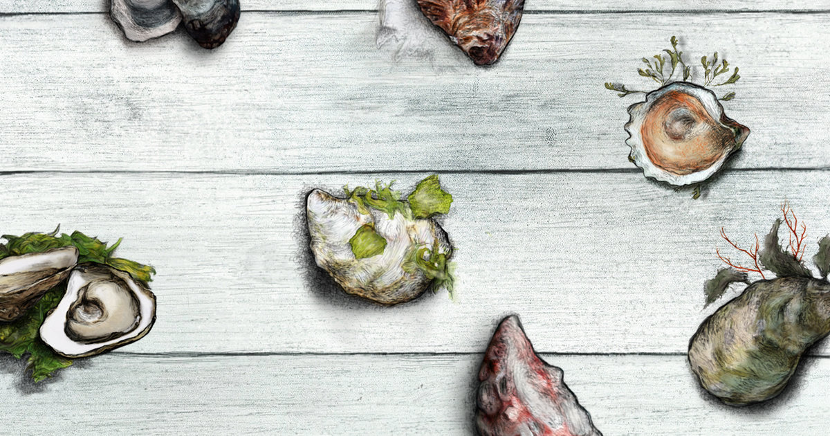 The Official Infographic of Long Island's Many Oysters - Thrillist