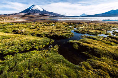 Lake Chungara 