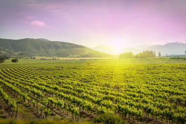 Colchagua Wine Valley 