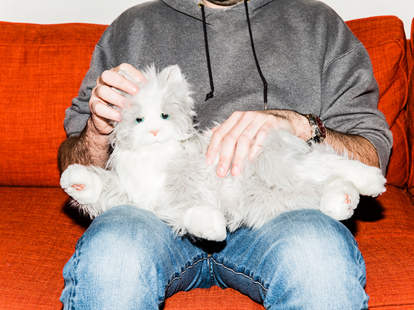 How Adopting A Robot Cat Designed For Old People Ruined My Life