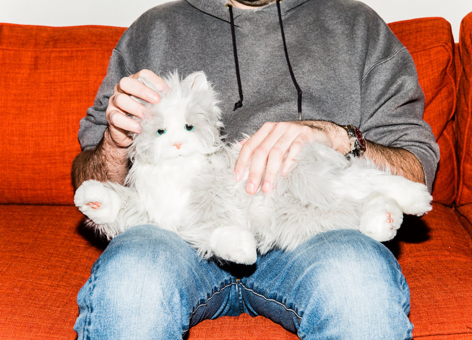 How Adopting a Robot Cat Designed for Old People Ruined My Life Thrillist