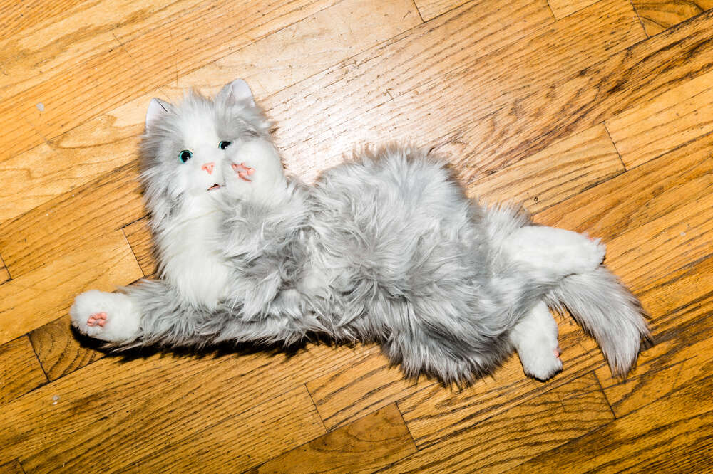 JOY FOR ALL - Orange Tabby Cat - Interactive Companion Pets - Realistic &  Lifelike
