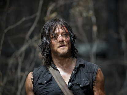 the walking dead daryl norman reedus