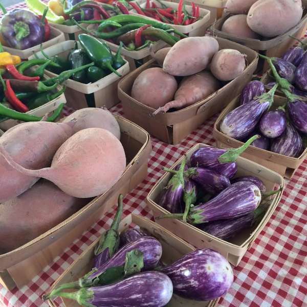 Dallas Farmers Market A Restaurant in Dallas, TX Thrillist