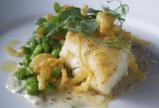 The Best Seafood Restaurants in and Around Houston