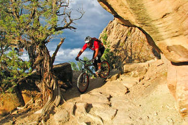 mountain biking