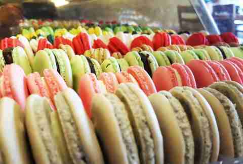 53 HQ Images Gourmet Pet Bakery Near Me - Little Blue Feathers: Selling Product At Three Dog Bakery 53 HQ Images Gourmet Pet Bakery Near Me - Little Blue Feathers: Selling Product At Three Dog Bakery
