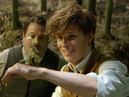 fantastic beasts harry potter changes