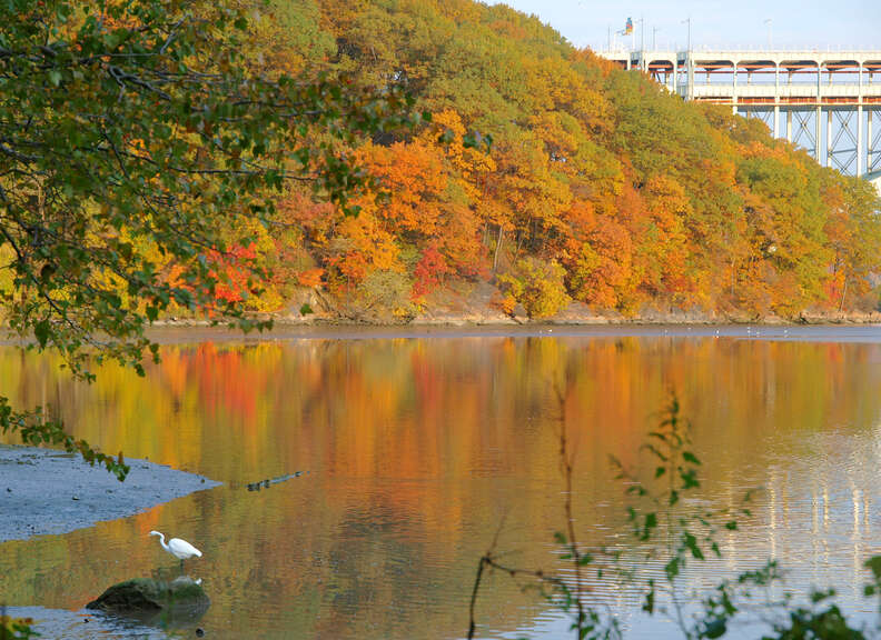 Inwood Hill Park 
