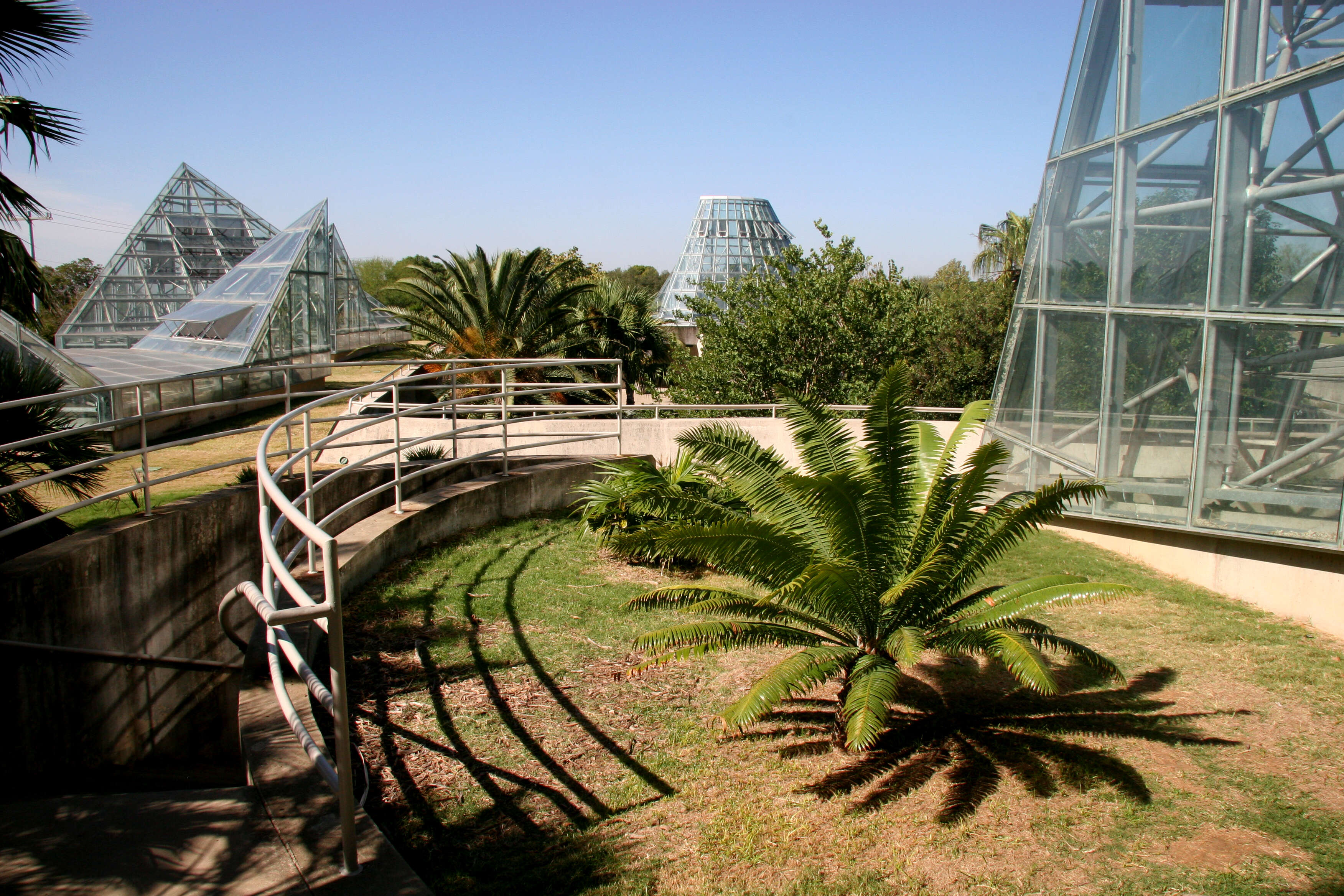 san antonio botanical garden