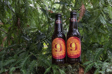 Magic Hat No. 9 Beer