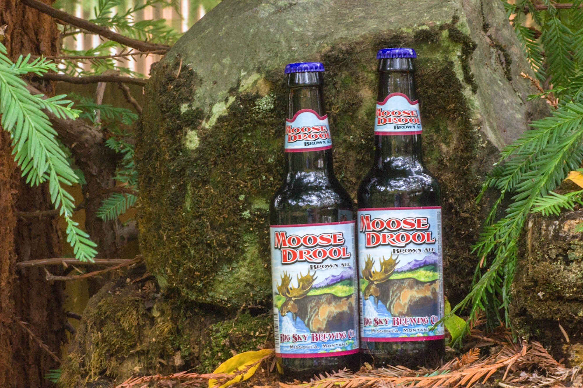 Refrigerators & Freezers Rare Yuengling Lager Beer Mini Fridge With Hot