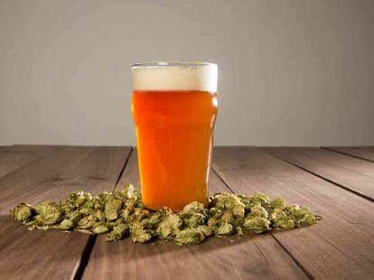 beer with hops