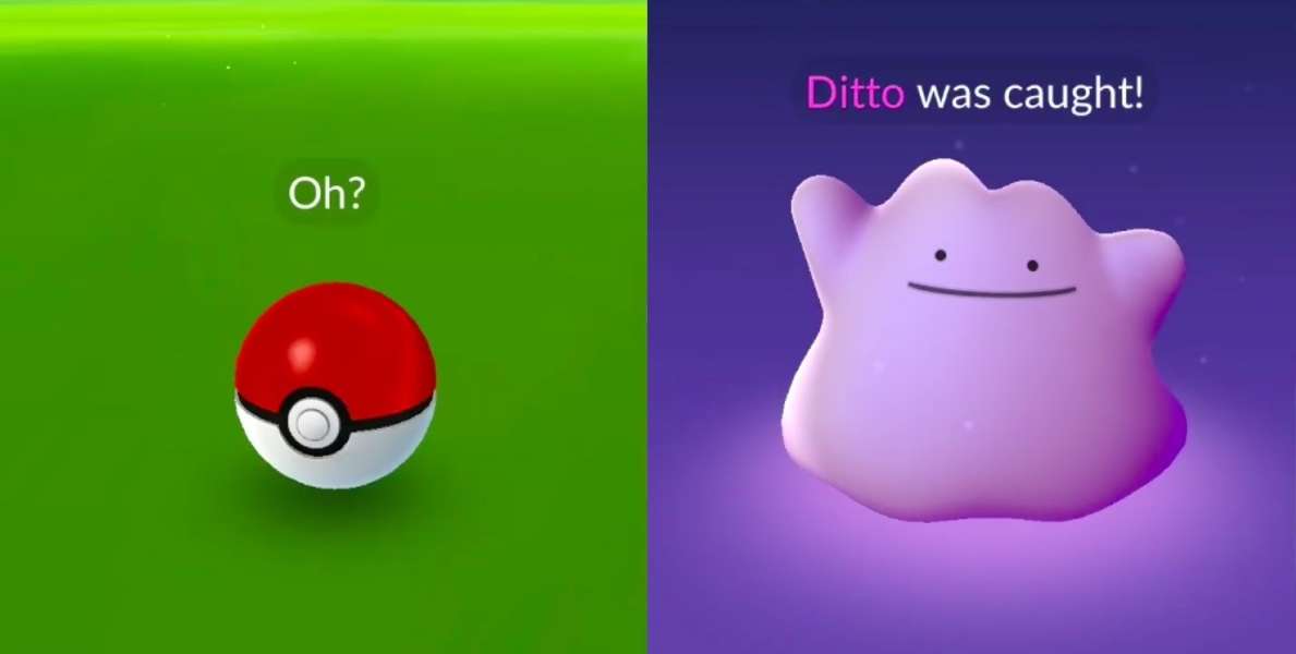 Ditto In 'Pokémon Go' How to Catch the New Pokémon Thrillist