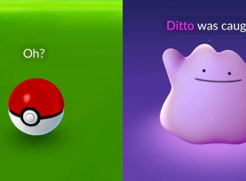 Pokémon GO - Which one of these Ditto are you feeling like
