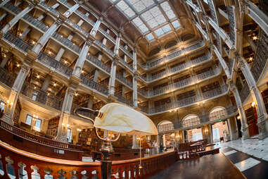 John Hopkins library