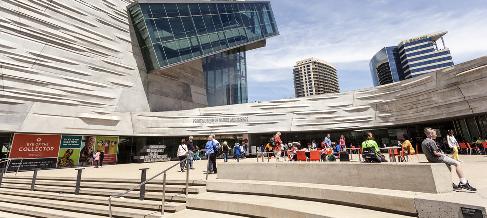 Everything You Absolutely Must Do in Dallas This Winter