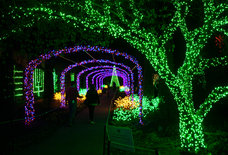 Everything You Absolutely Must Do in Nashville This Winter