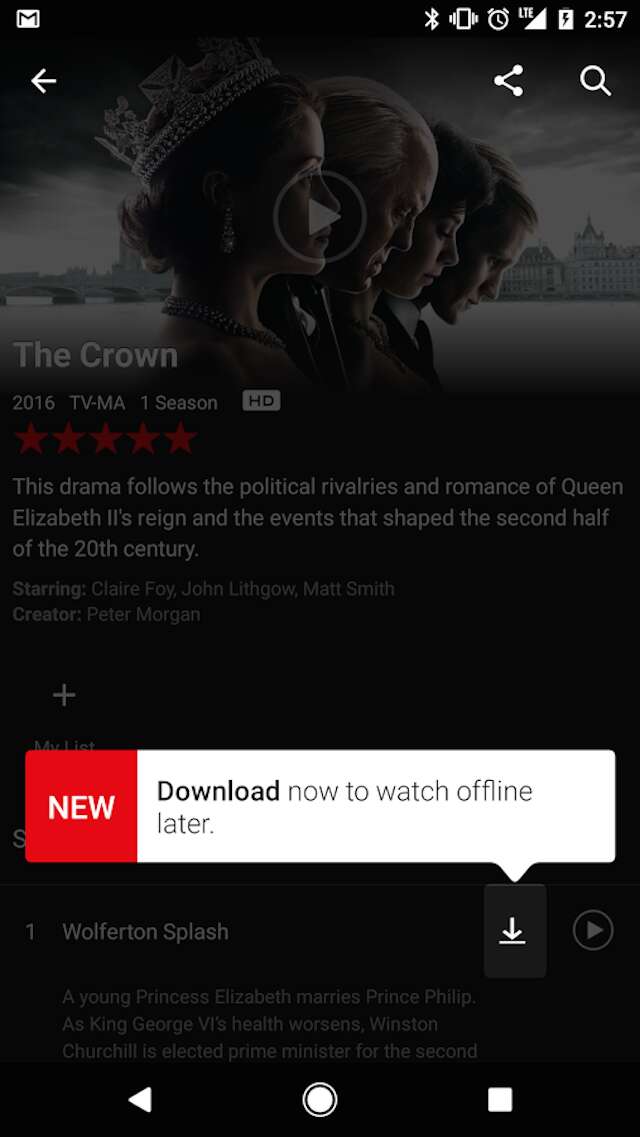 netflix downloads offline viewing