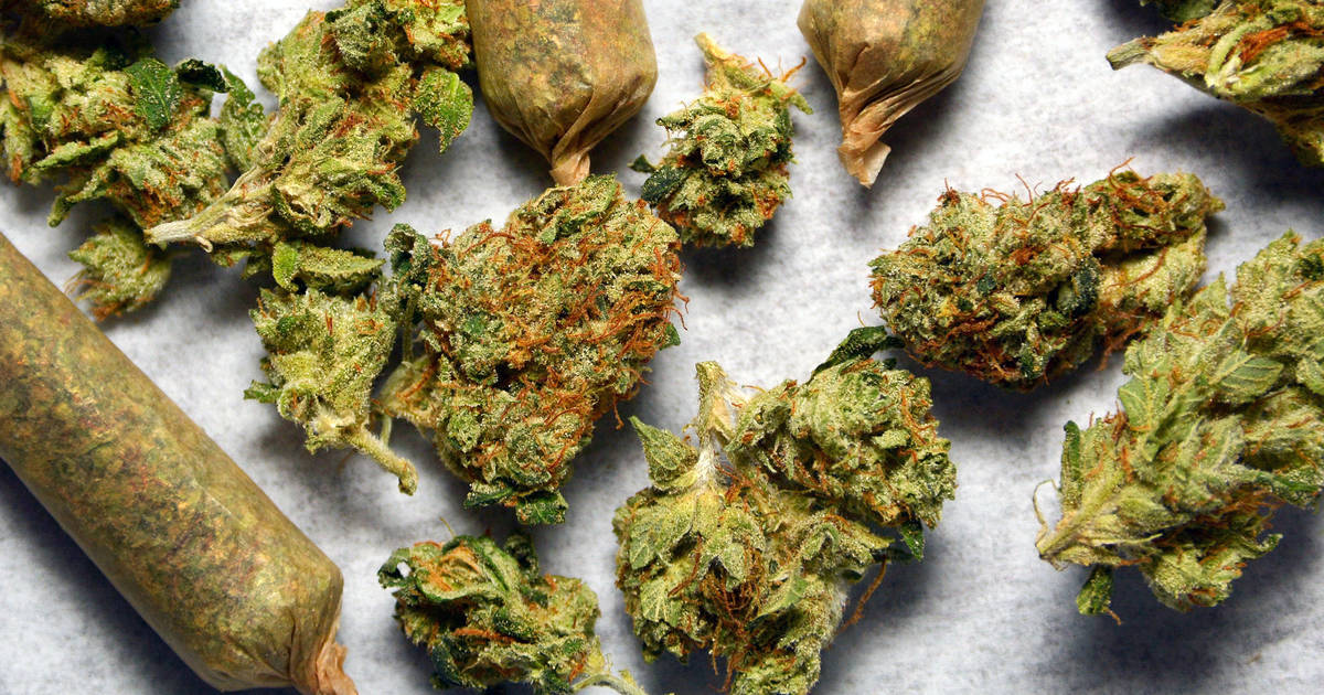 Why Arizona Legal Medical Marijuana Laws & Culture Redeem Prop 205 Vote -  Thrillist