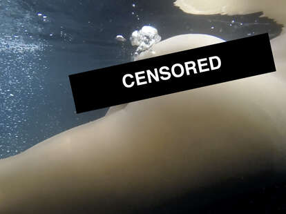 Big Booty Face Farting Big Booty Face Farting