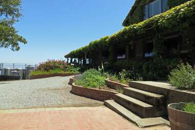 Mount Eden Vineyards