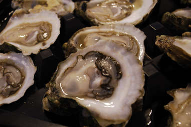gulf coast oysters