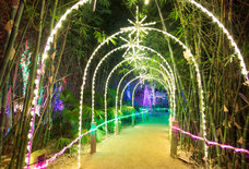 Everything Festive You Need to Do in Houston This Holiday Season