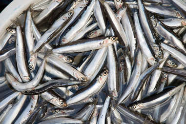 anchovies