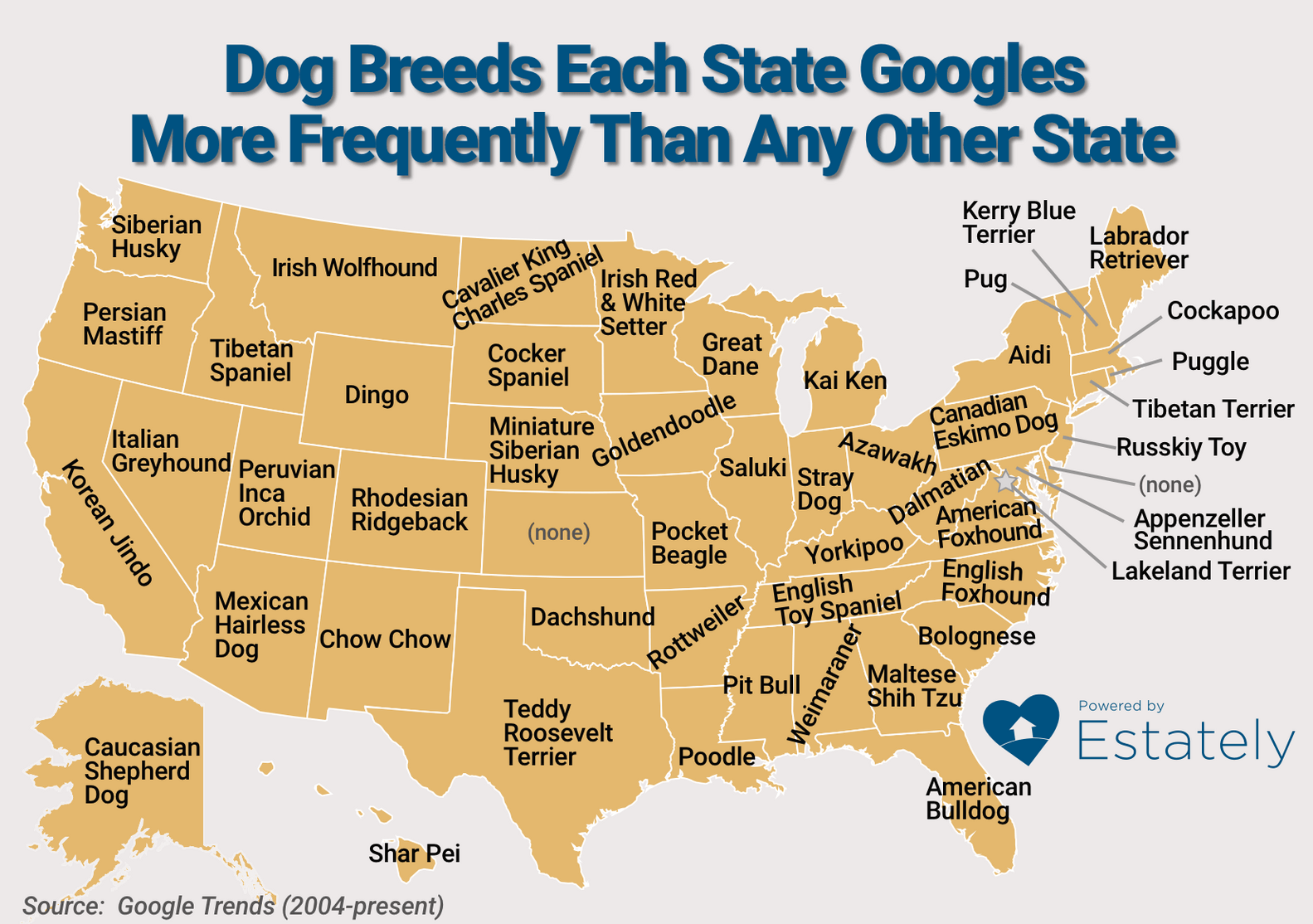 Which Dog Breeds Each State Googles More Than Every Other State Thrillist Which dog breeds each state googles more than every other state thrillist
