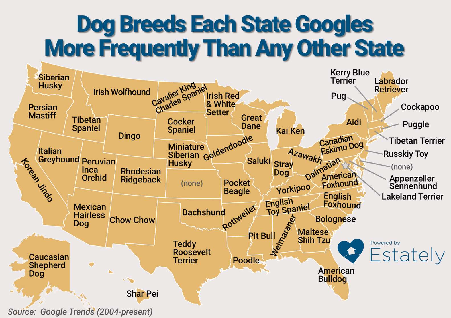 Which Dog Breeds Each State Googles More Than Every Other State Thrillist
