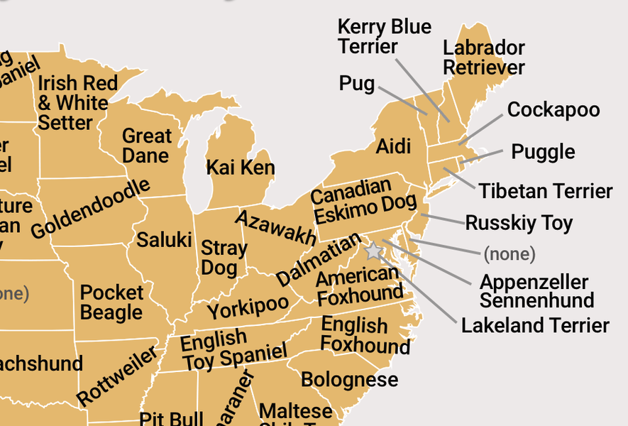 Which Dog Breeds Each State Googles More Than Every Other State - Thrillist