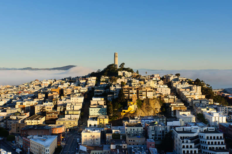 telegraph hill sf