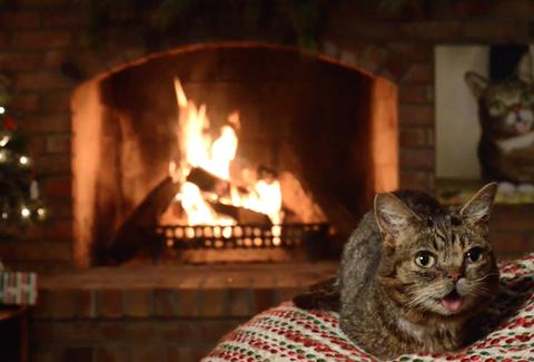 Yule Log Livestream 2016: Best YouTube Channel Options to ...