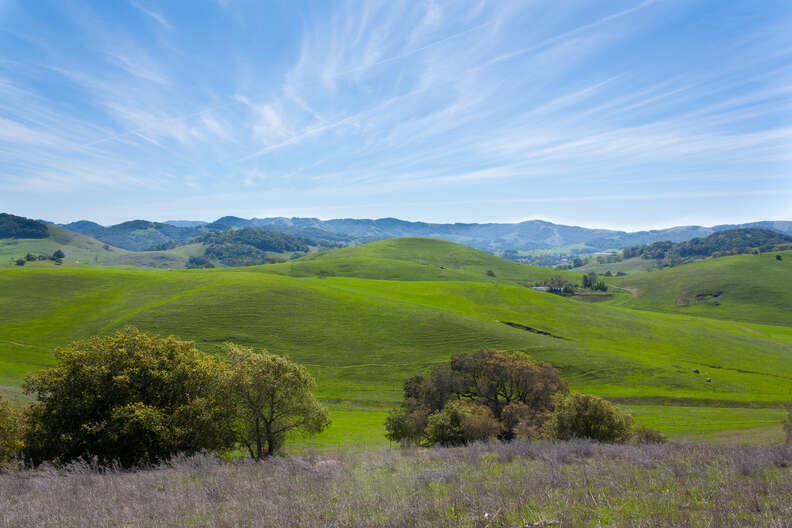 Things to Do in Petaluma, CA: Lagunitas, Vineyards, Food & More - Thrillist