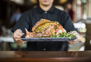 Houston's Best New Restaurants of 2016