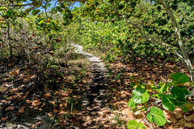 Oleta River Park