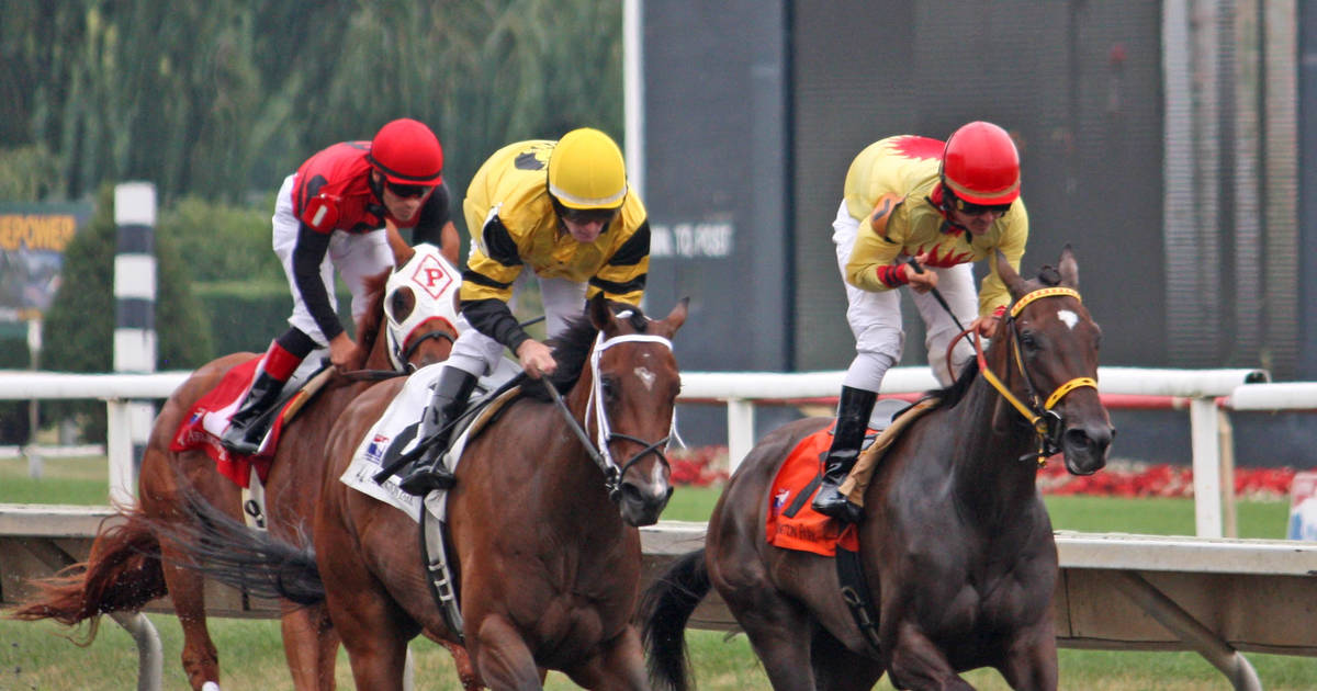 Horse Race Betting - Tips For Becoming A Betting Master - Thrillist