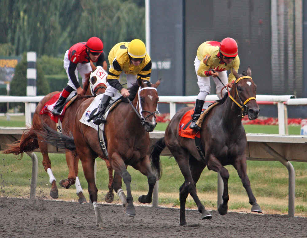 Horse Race Betting Tips For Becoming A Betting Master - 