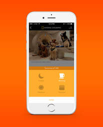 stash app