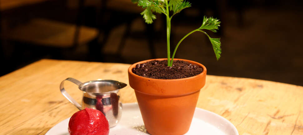You Can Eat Your Plants for Dessert at NYC's Spot Dessert Bar