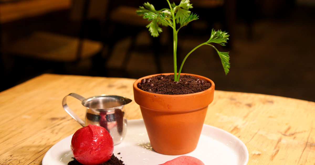 NYC's Spot Dessert Bar Serves a Whole Chocolate Plant - Thrillist