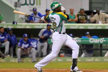 Dominican Winter League Baseball