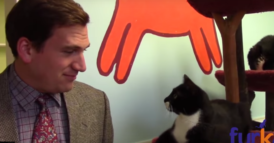 A Kitten Adoption Commercial Is More Charming Than Kittens Thrillist