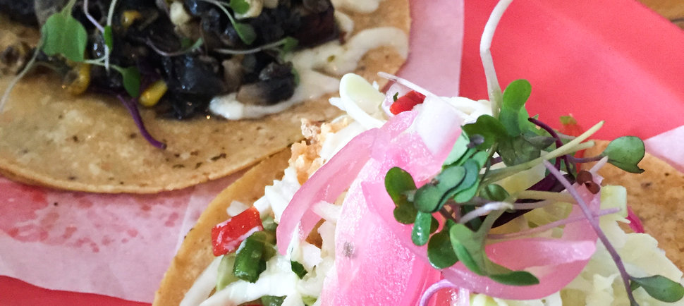 Dallas-Fort Worth's 11 Best Tacos to Devour Right Now
