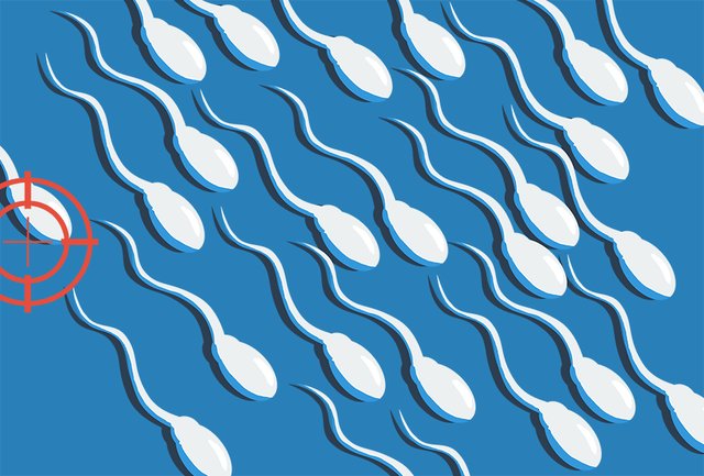 Male Fertility Why Sperm Counts Have Gone Down in the Last 50 Years