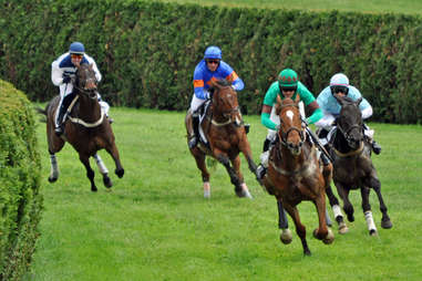 racetrack gambling horses